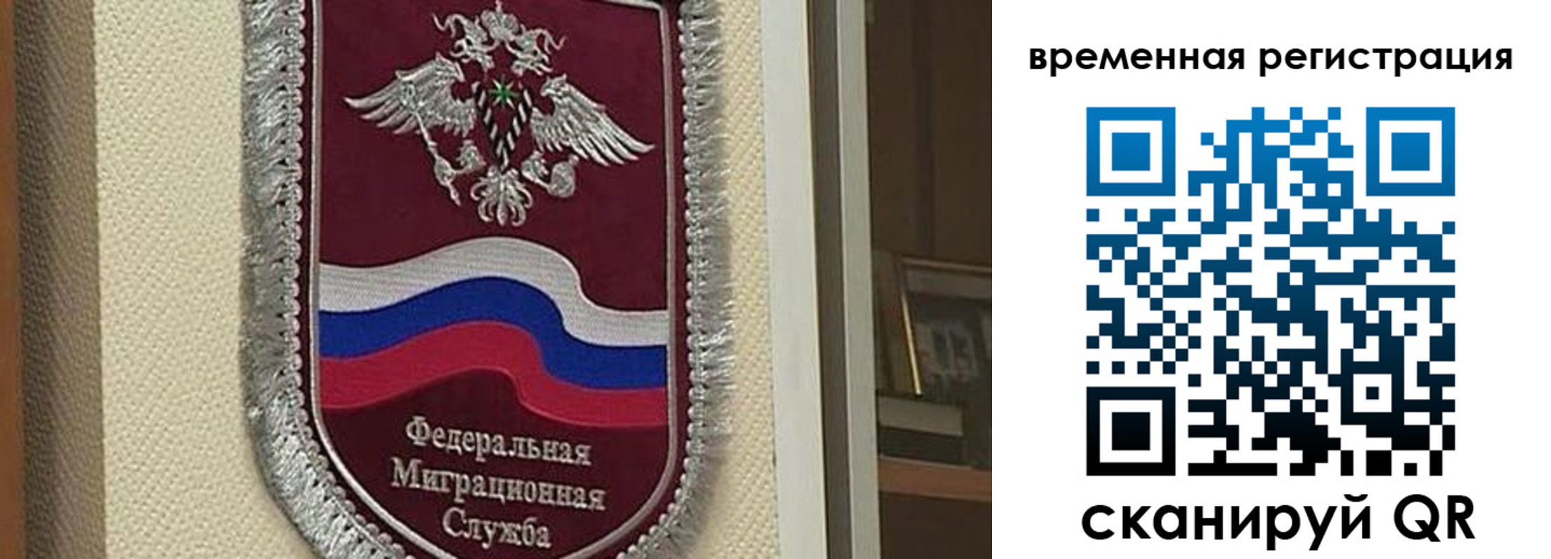 прописка законно в Звенигово